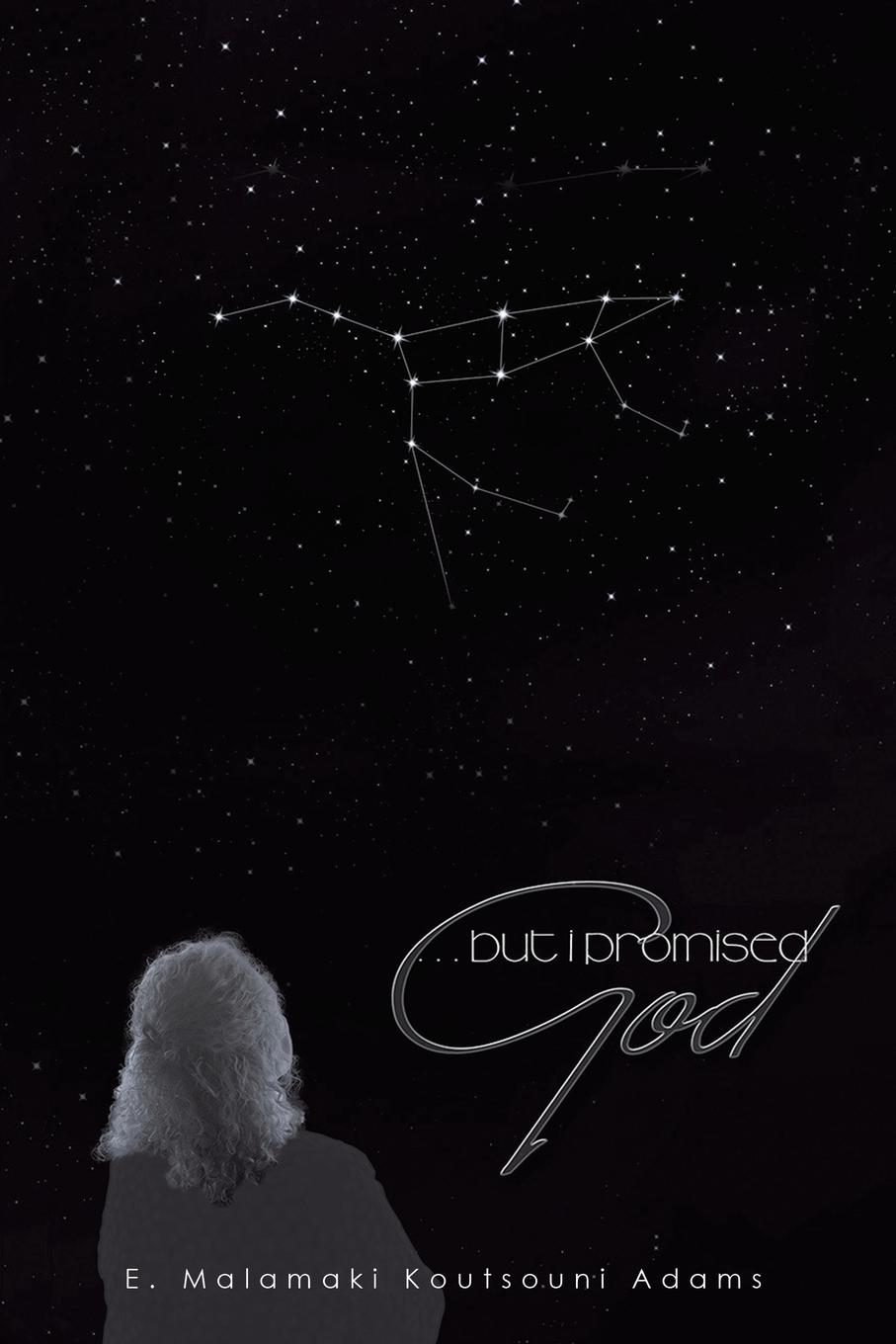 Vorderes Coverbild But I Promised God