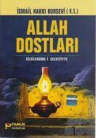 Vorderes Coverbild Allah Dostlari - Silsilename-i Celvetiyye