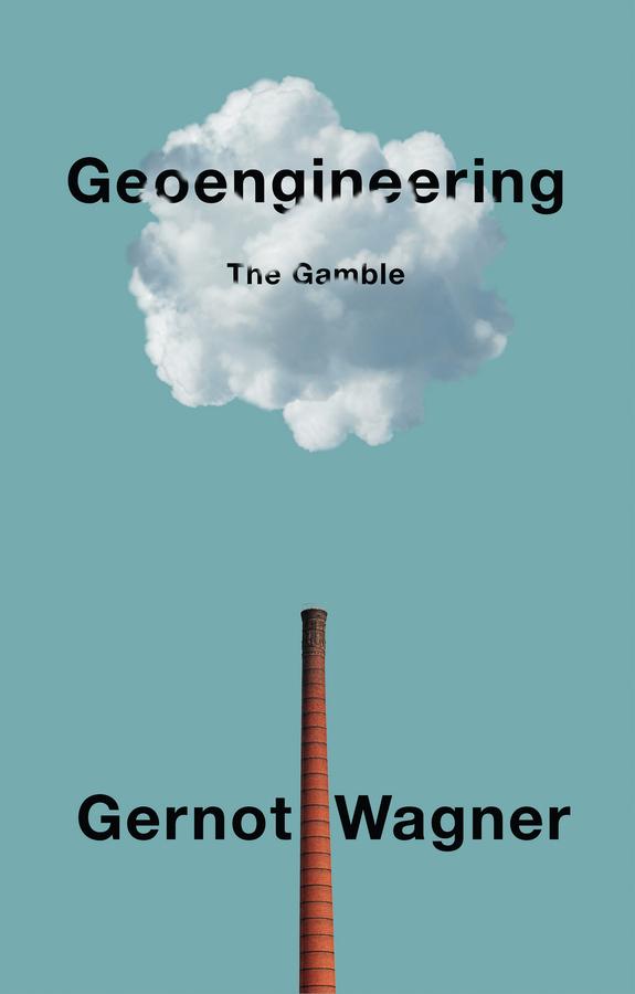 Vorderes Coverbild Geoengineering