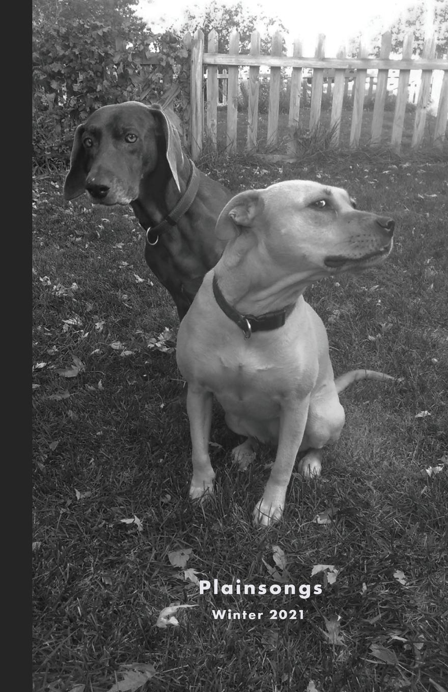 Vorderes Coverbild Plainsongs 41.1