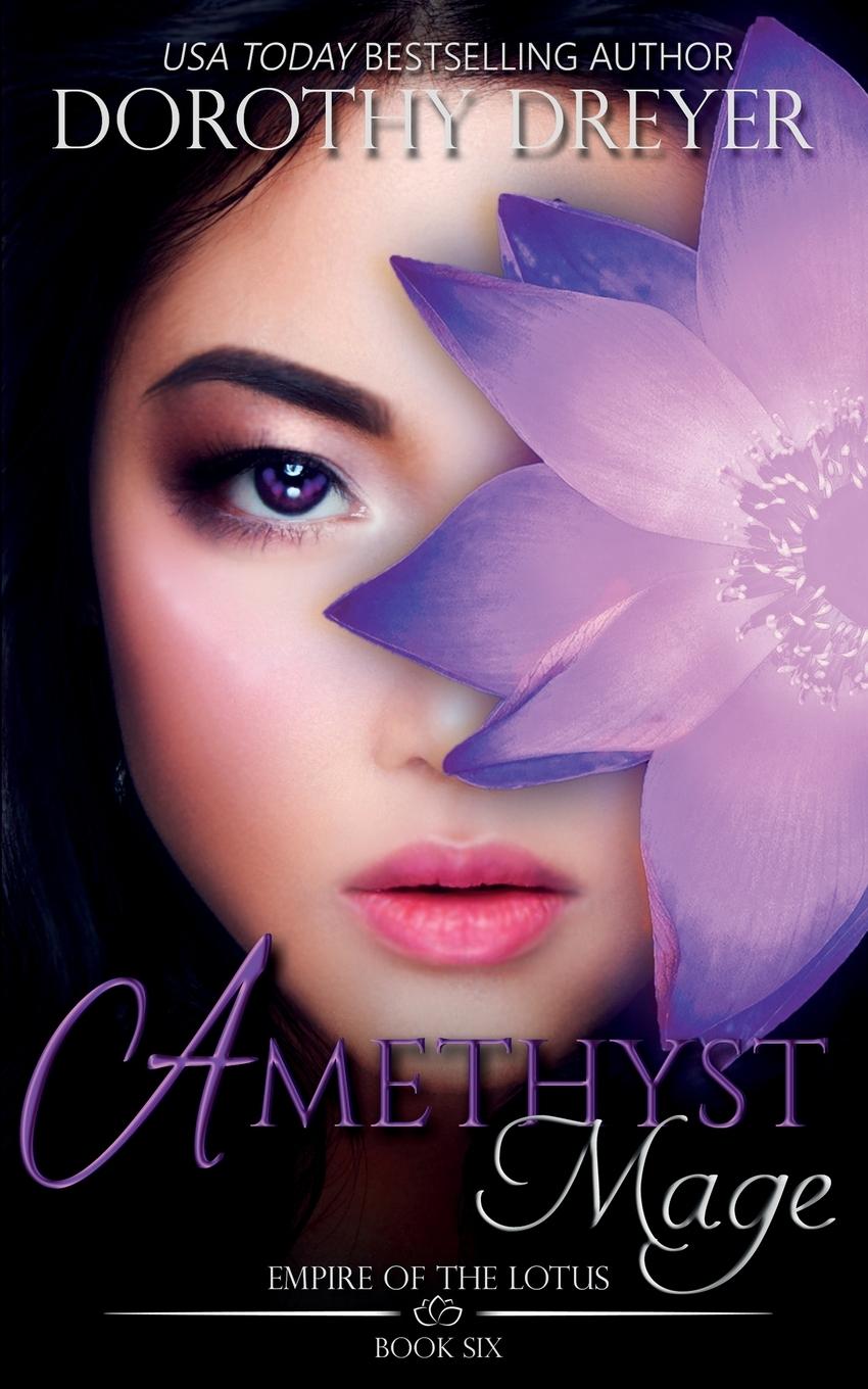 Vorderes Coverbild Amethyst Mage