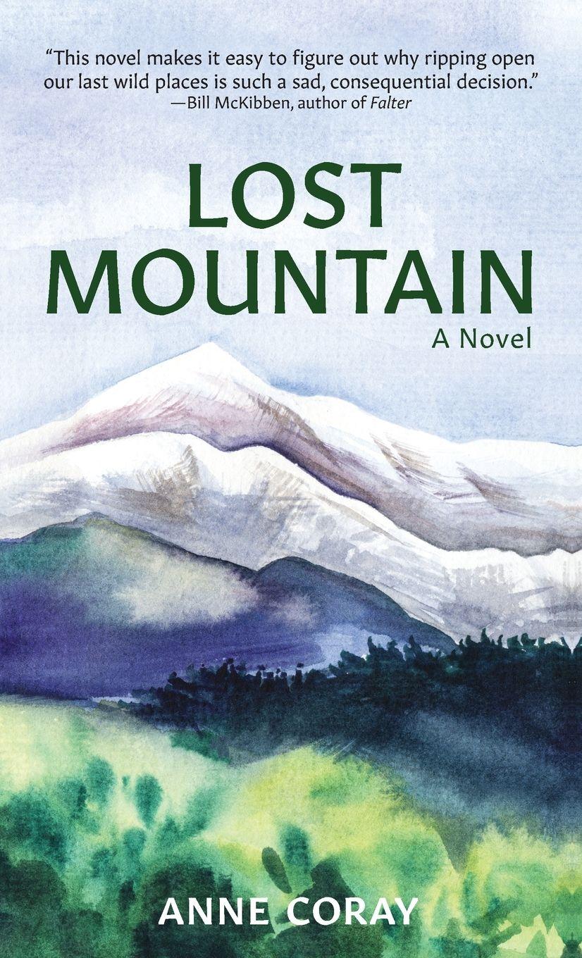 Vorderes Coverbild Lost Mountain