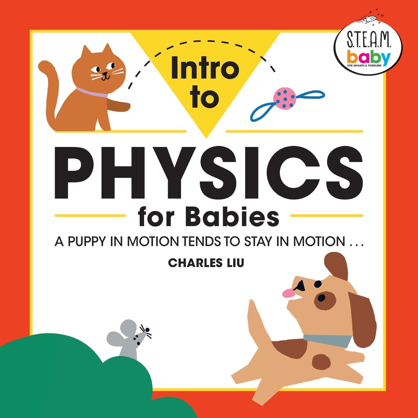Vorderes Coverbild Intro to Physics for Babies