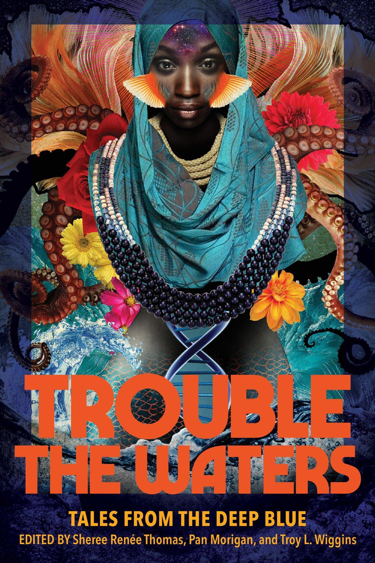 Vorderes Coverbild Trouble the Waters