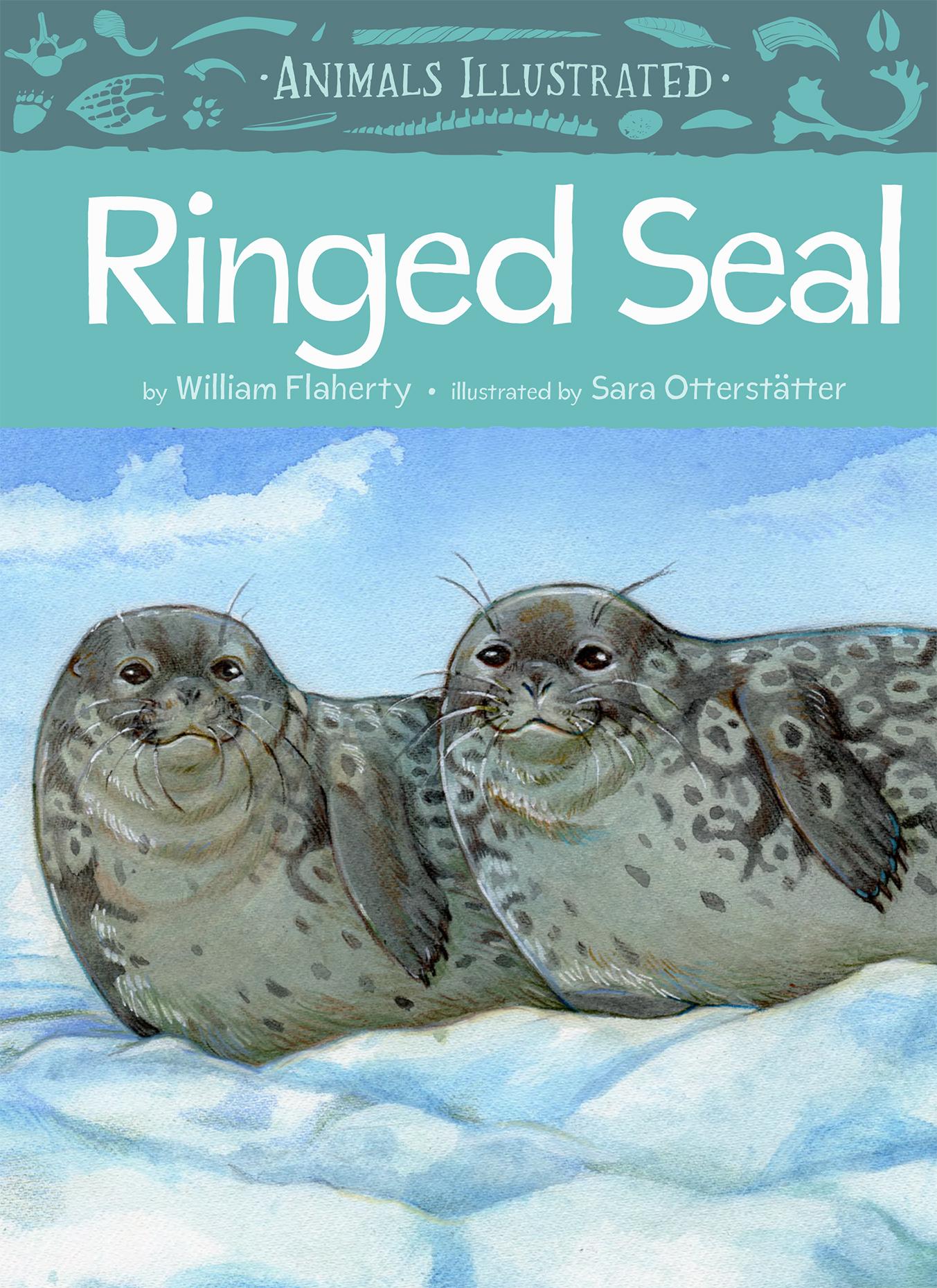 Vorderes Coverbild Animals Illustrated: Ringed Seal