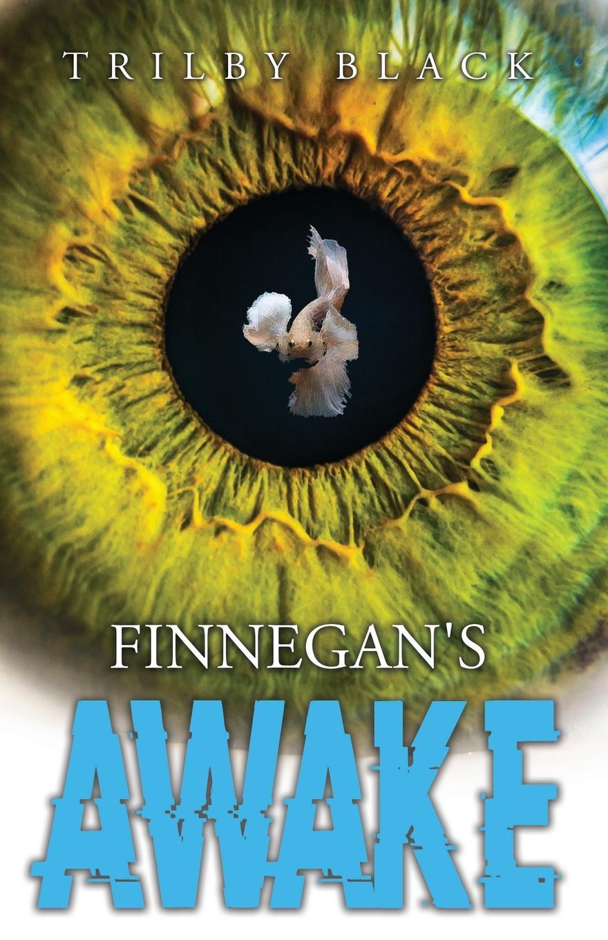 Vorderes Coverbild Finnegan's Awake