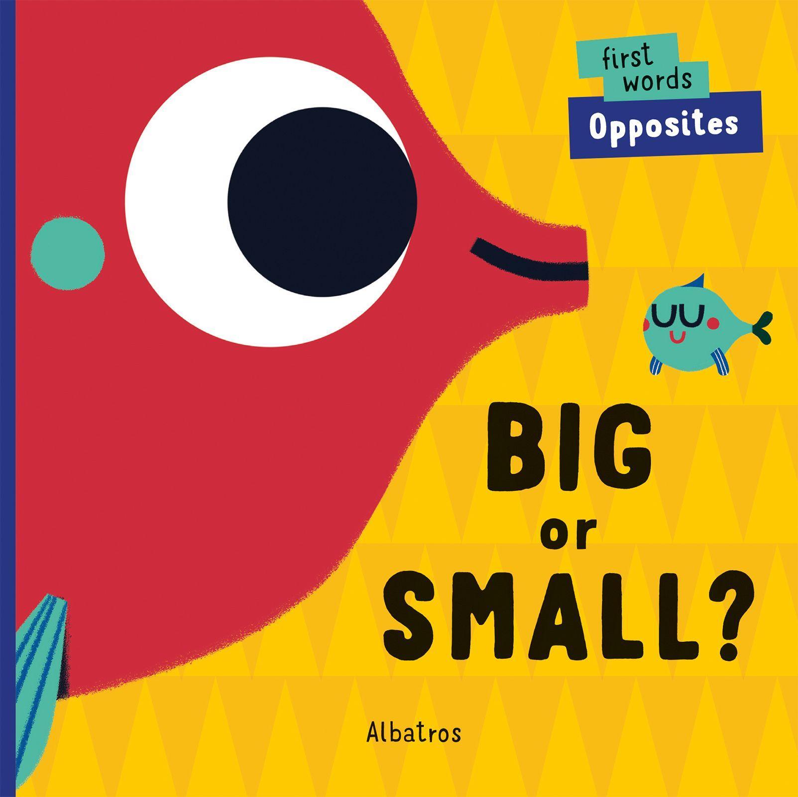 Vorderes Coverbild Big or Small?