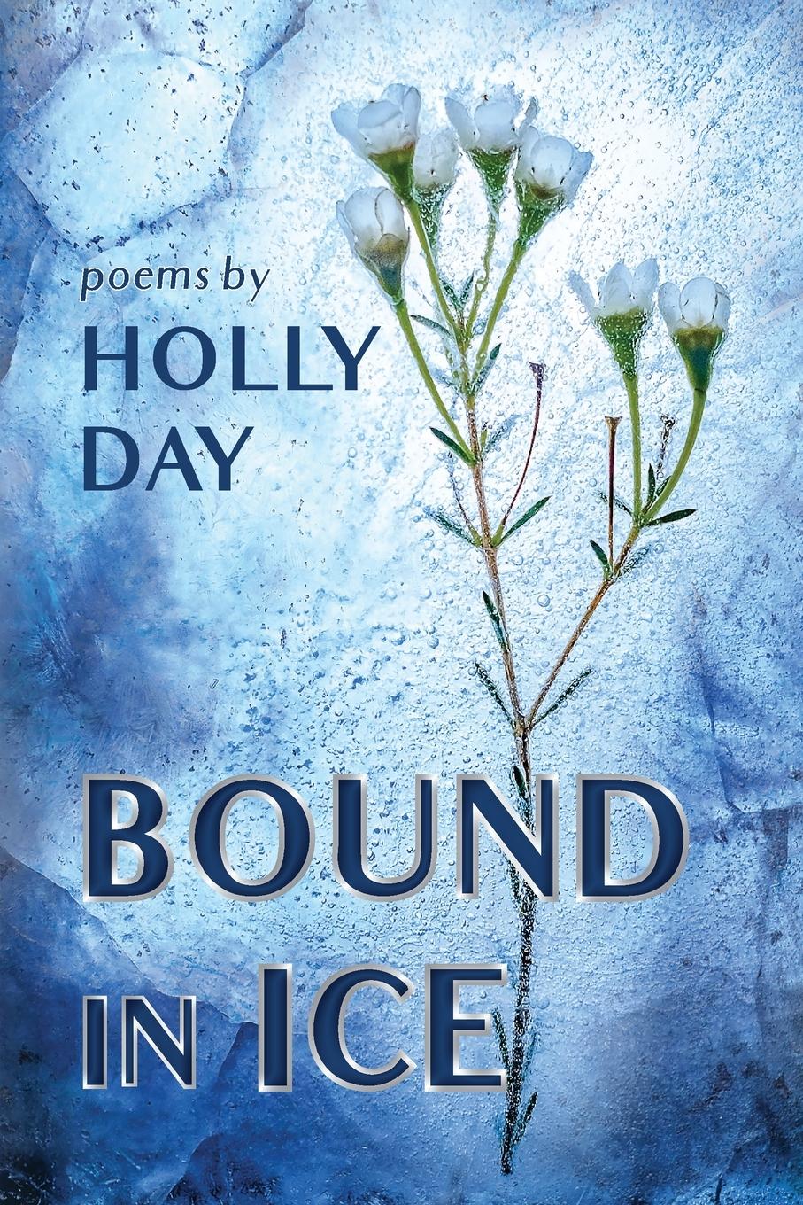 Vorderes Coverbild Bound in Ice