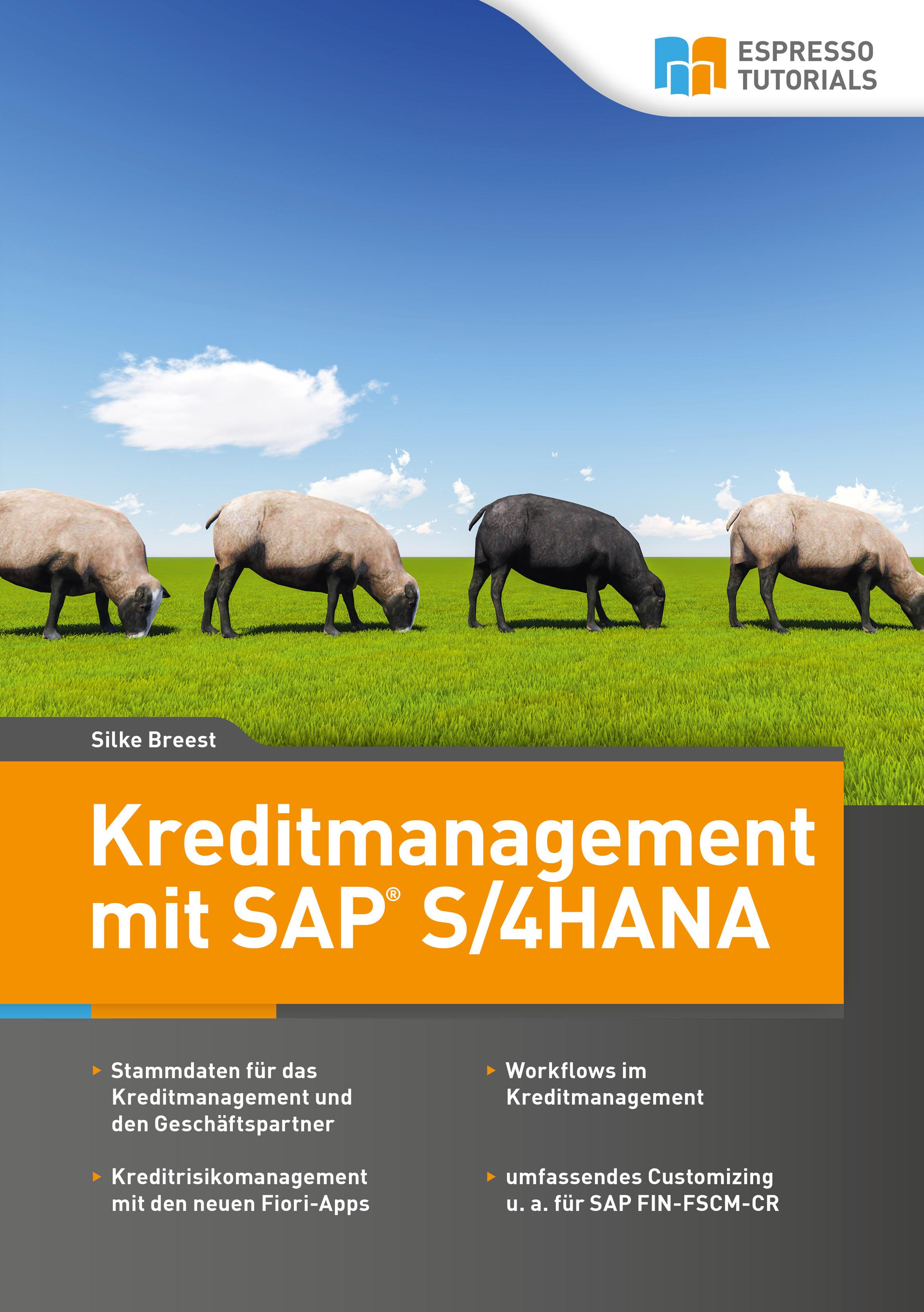Vorderes Coverbild Kreditmanagement mit SAP S/4HANA