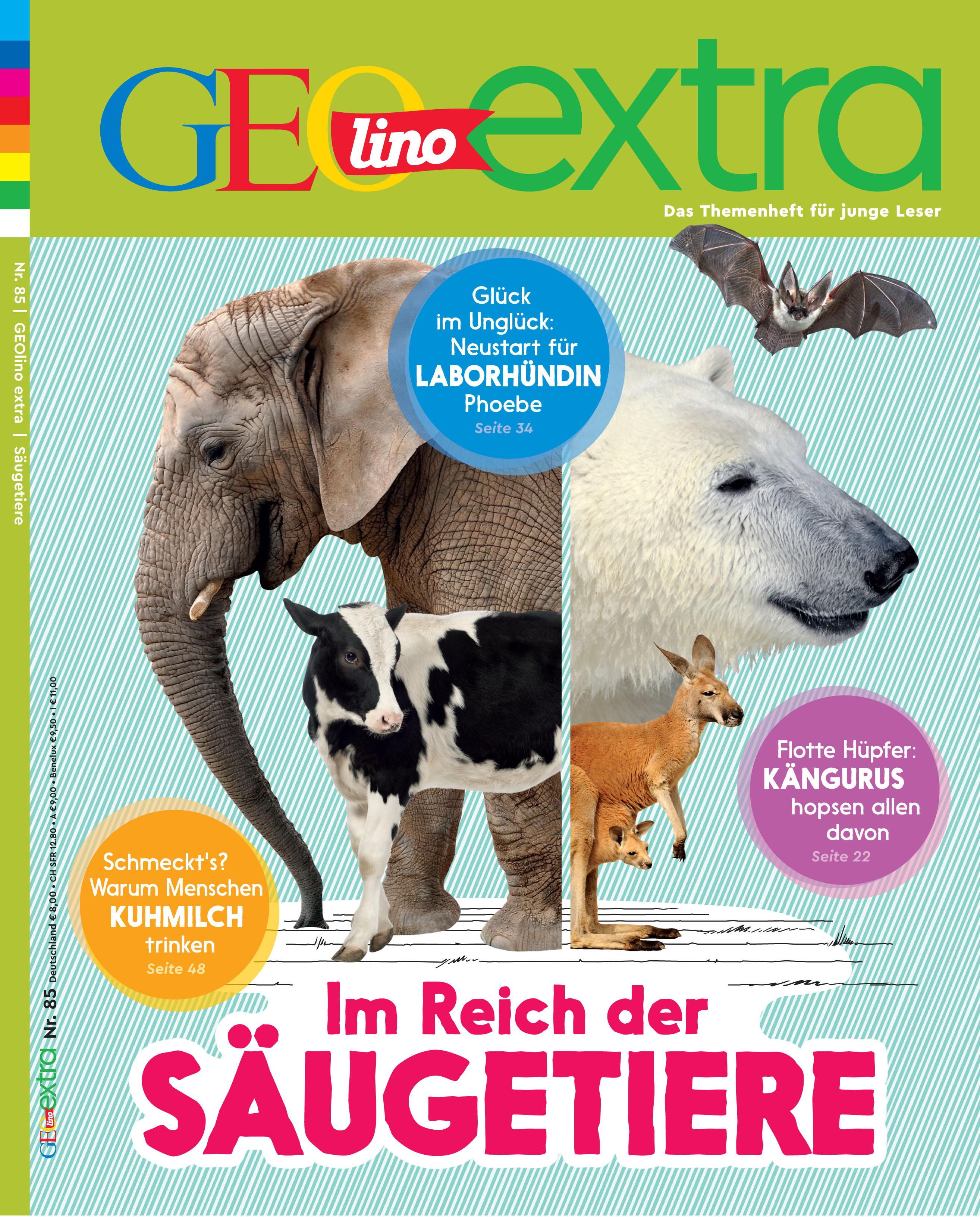 Vorderes Coverbild GEOlino extra 85/2020 - Im Reich der Säugetiere