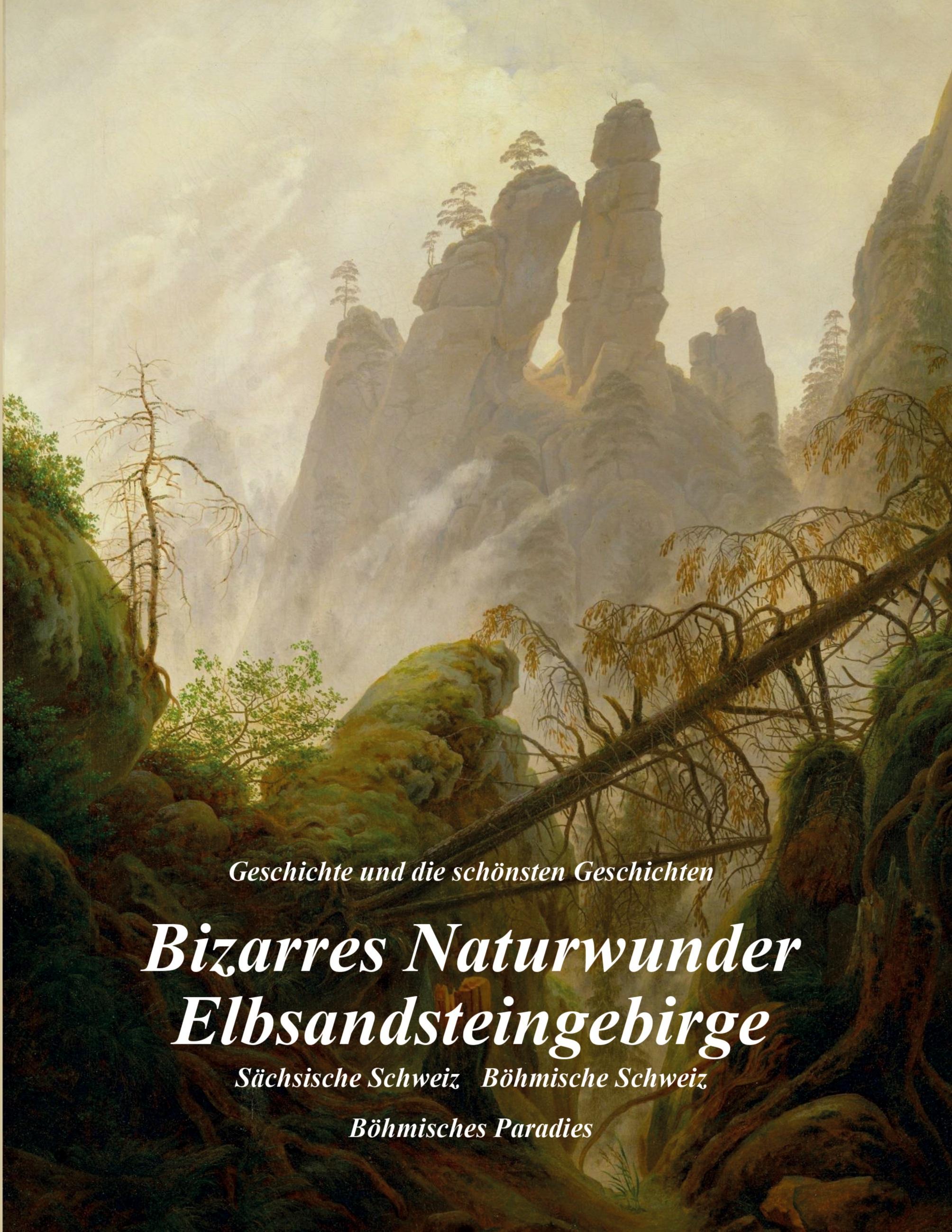 Vorderes Coverbild Bizarres Naturwunder Elbsandsteingebirge