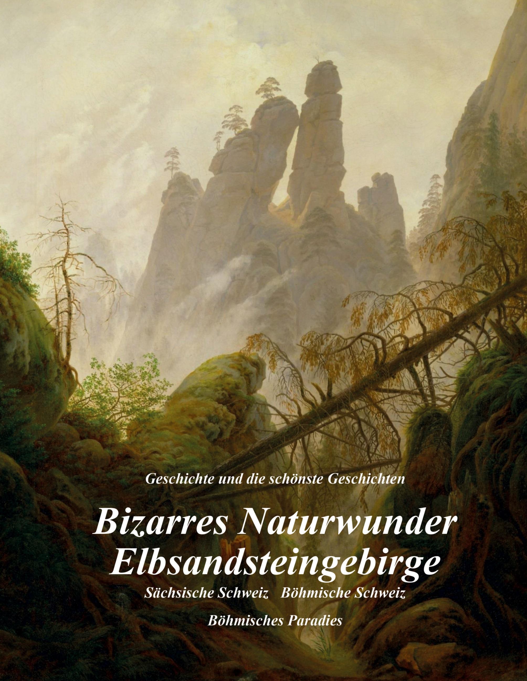 Vorderes Coverbild Bizarres Naturwunder Elbsandsteingebirge