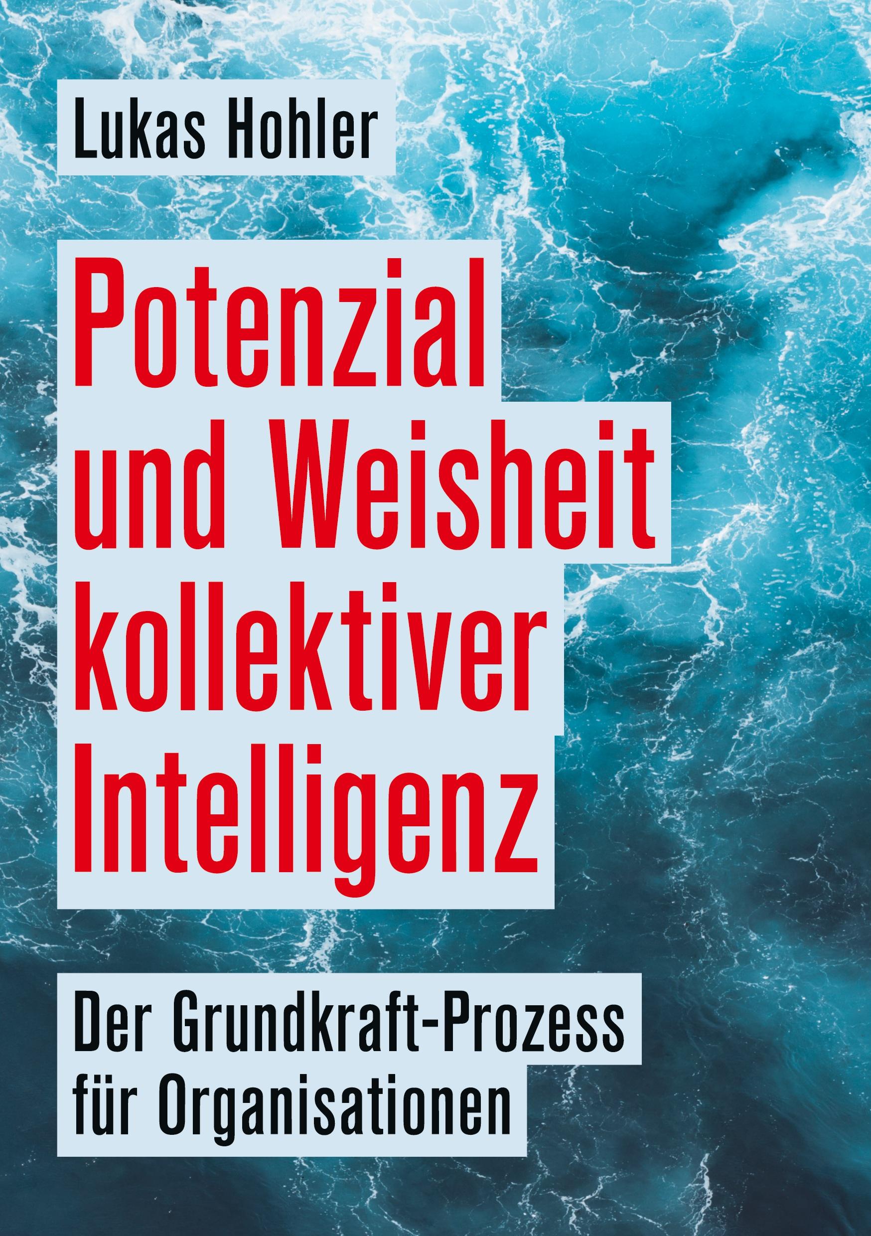Vorderes Coverbild Potenzial und Weisheit kollektiver Intelligenz
