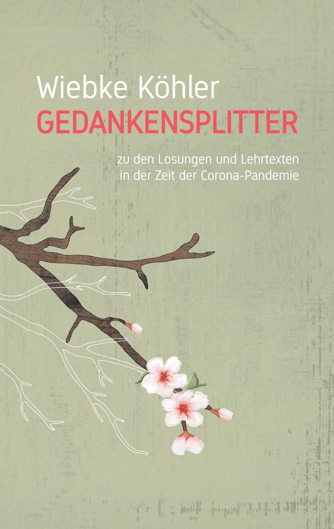Vorderes Coverbild Gedankensplitter