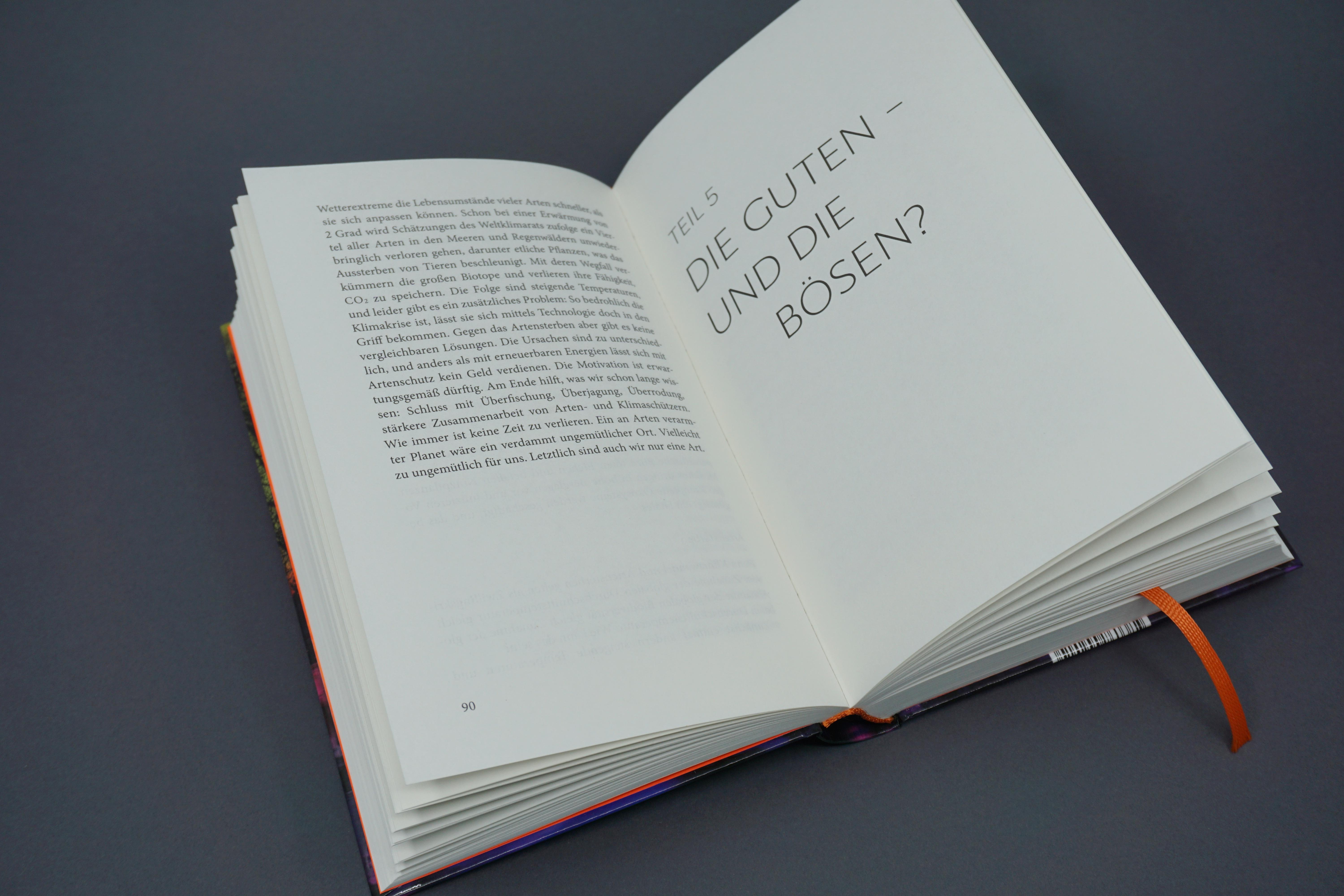 Beispielinhalt (Bild) Was, wenn wir einfach die Welt retten?