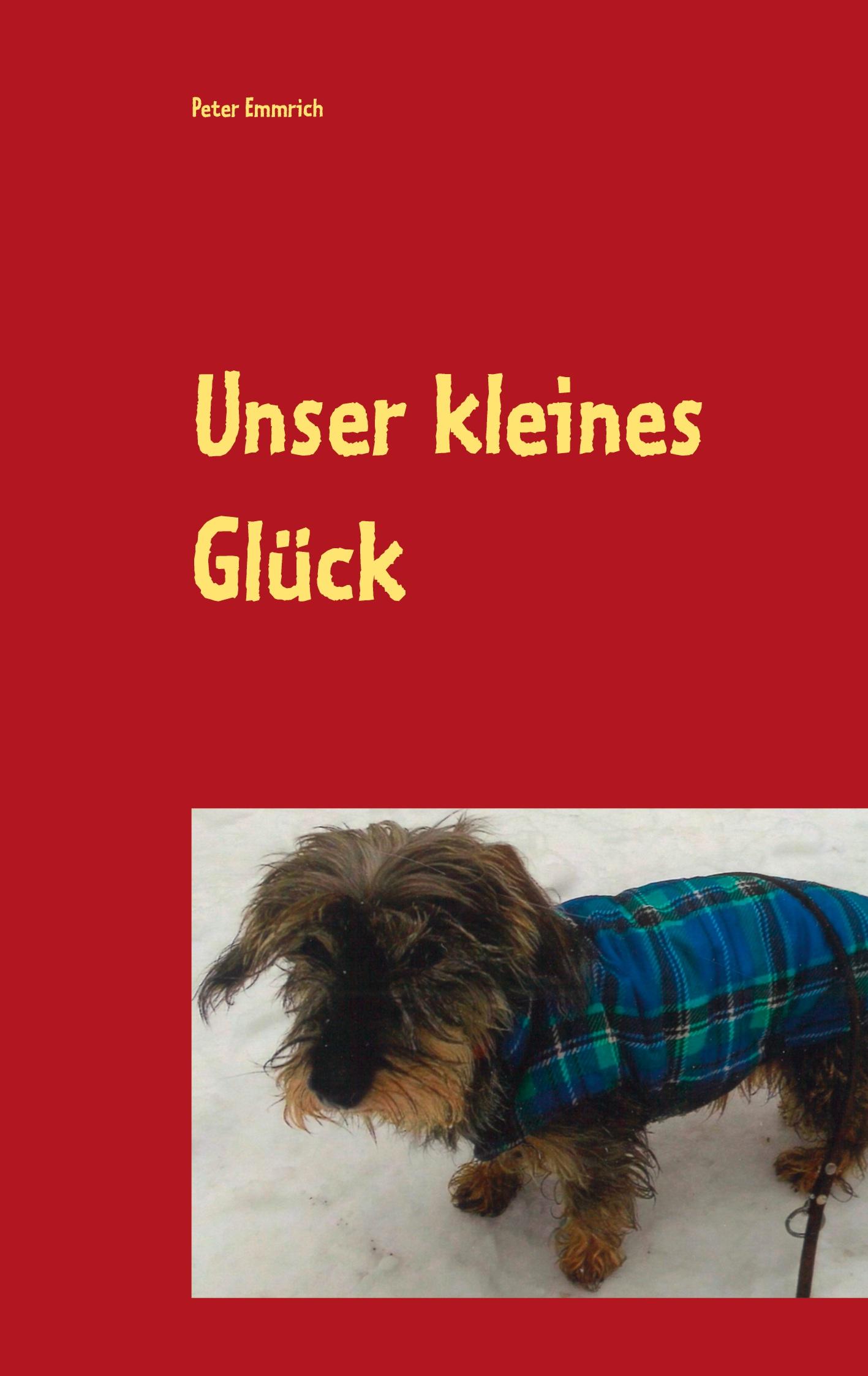 Vorderes Coverbild Unser kleines Glück
