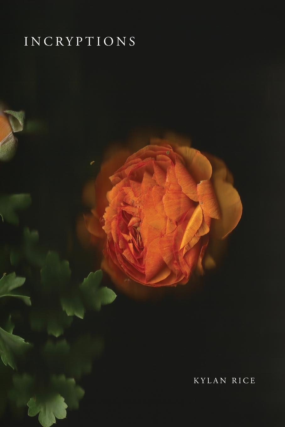 Vorderes Coverbild Incryptions