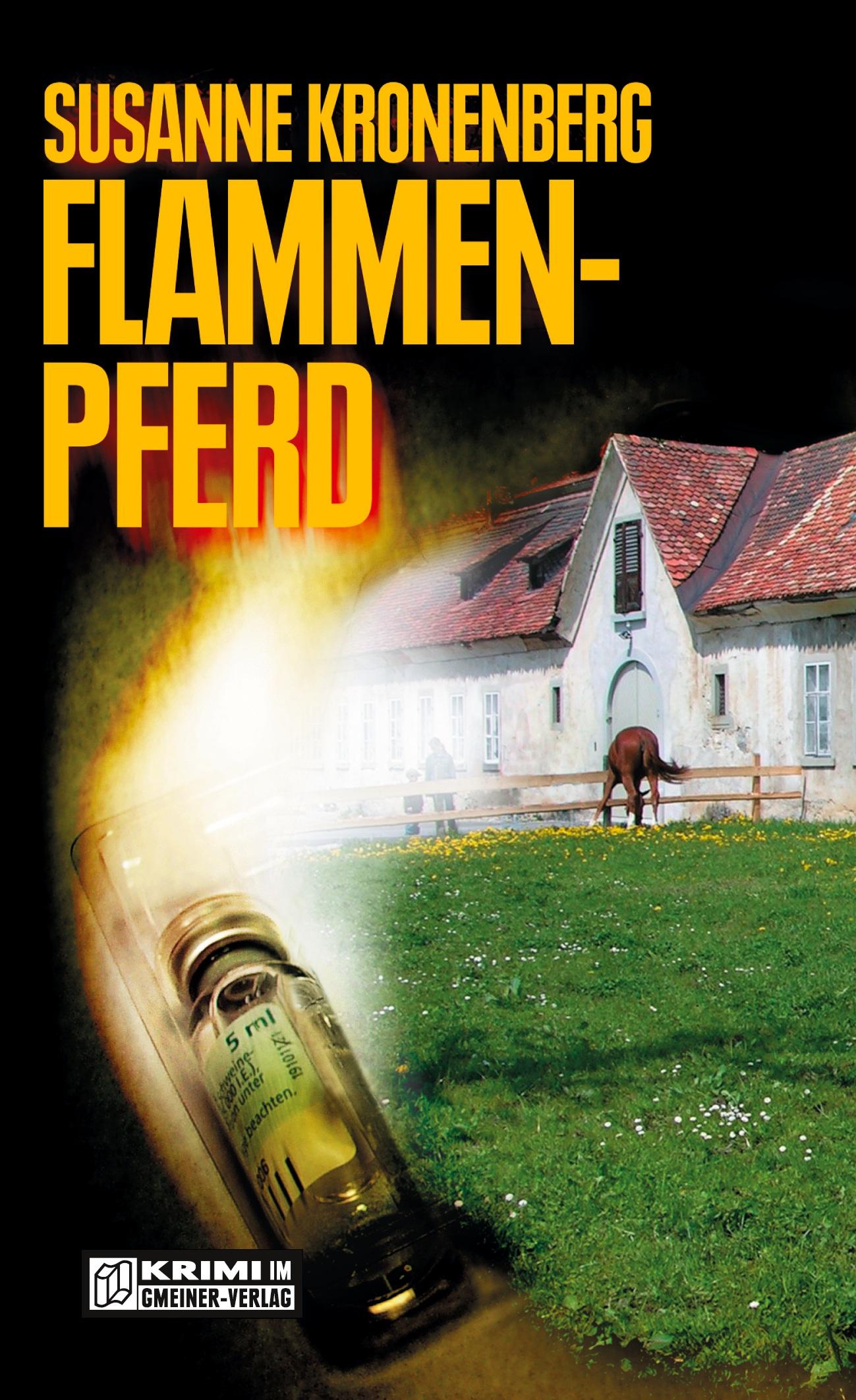 Vorderes Coverbild Flammenpferd