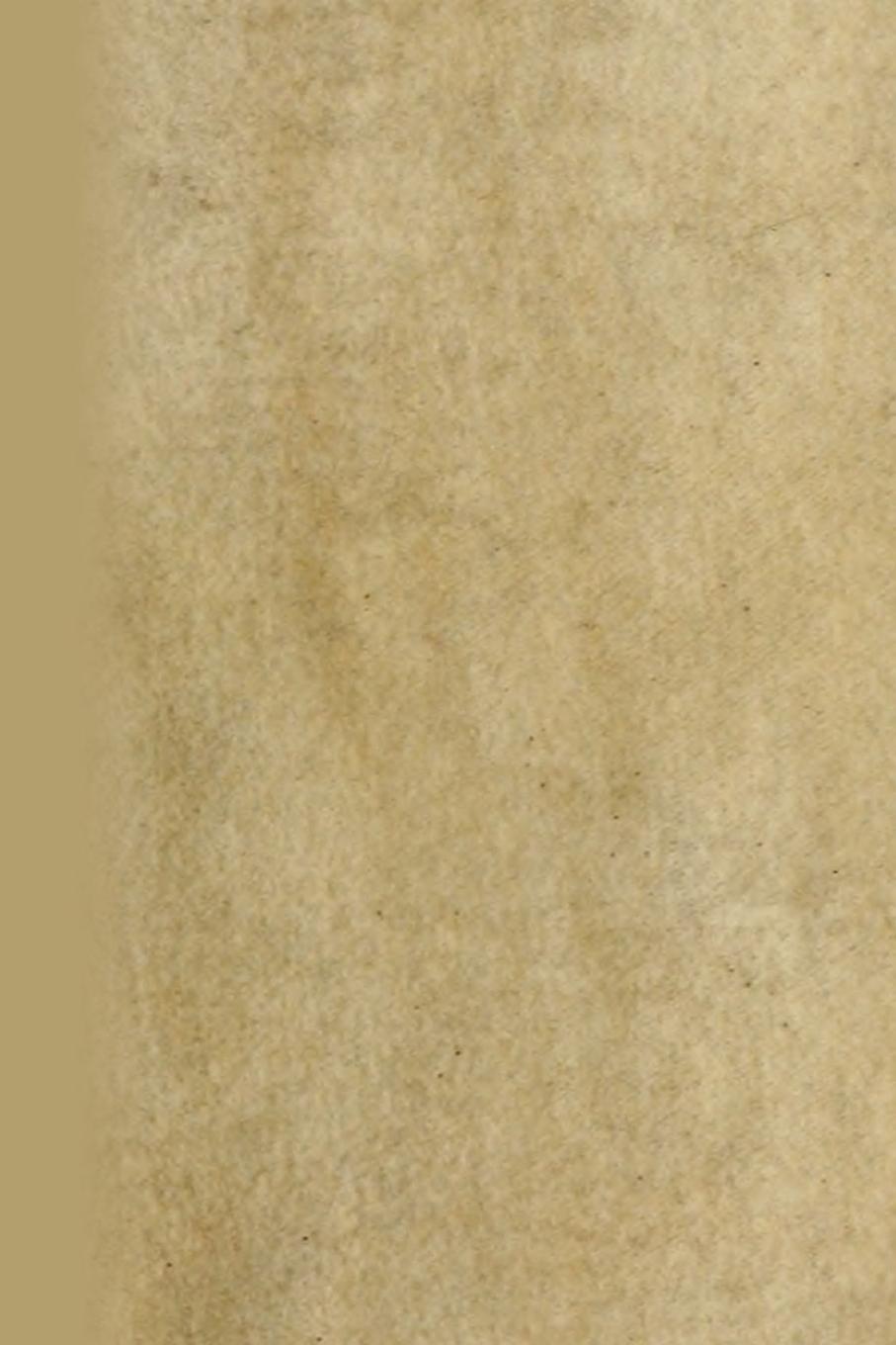 Vorderes Coverbild Contemplatio totivs vitae et passionis Domini Nostri Iesv Christi