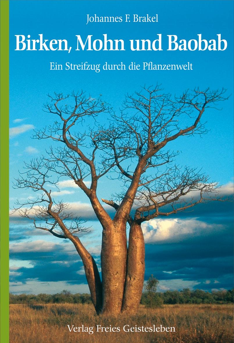 Vorderes Coverbild Birken, Mohn und Baobab