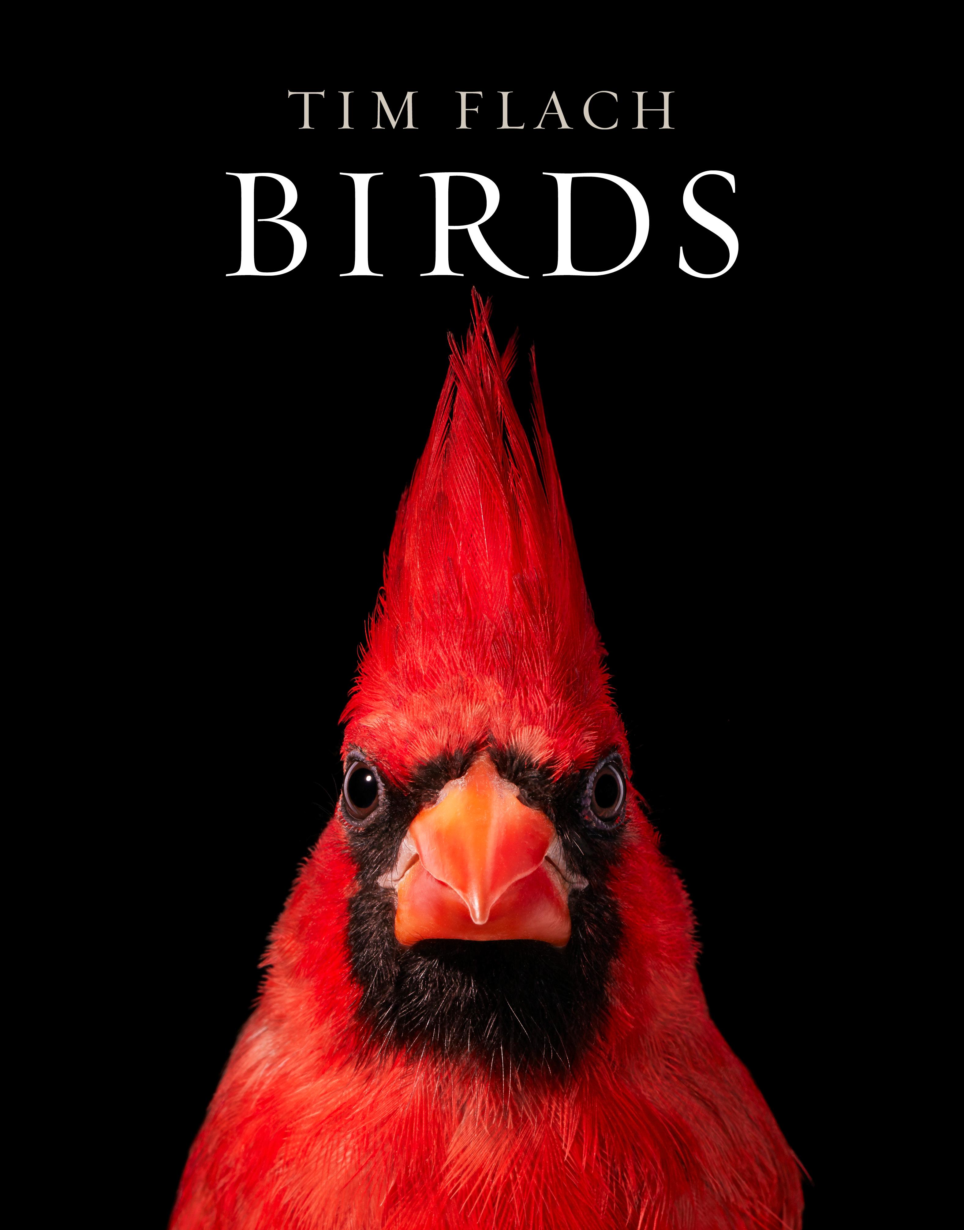 Vorderes Coverbild Birds
