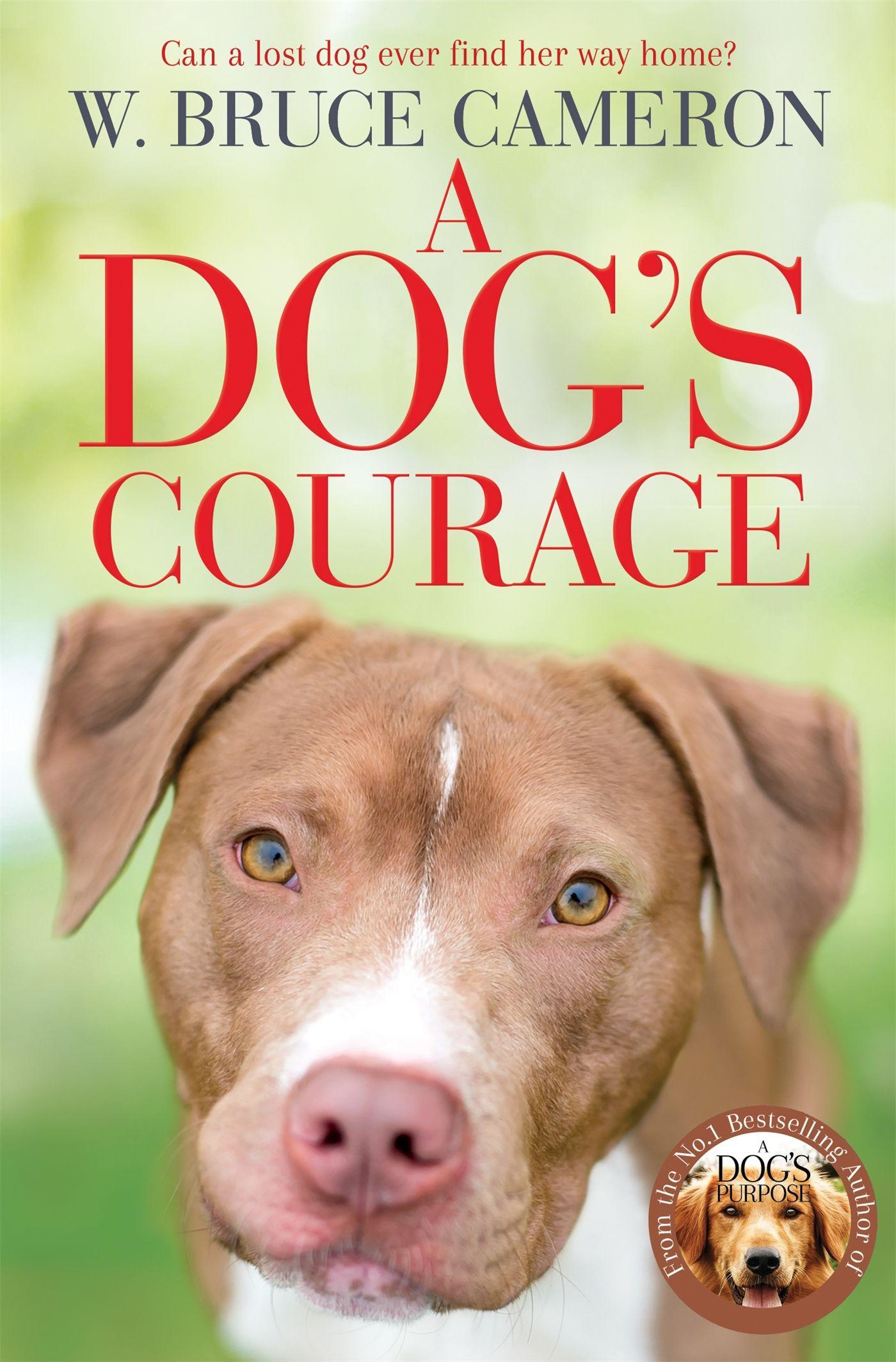 Vorderes Coverbild A Dog's Courage