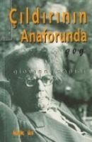 Vorderes Coverbild Cildirinin Anaforunda Gog