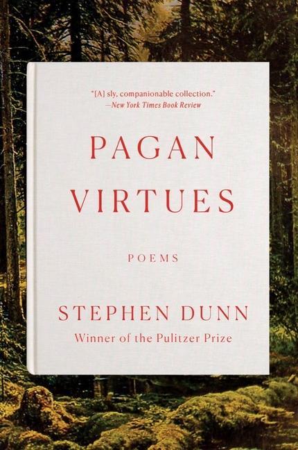 Vorderes Coverbild Pagan Virtues