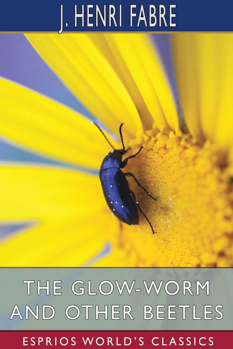 Vorderes Coverbild The Glow-Worm and Other Beetles (Esprios Classics)