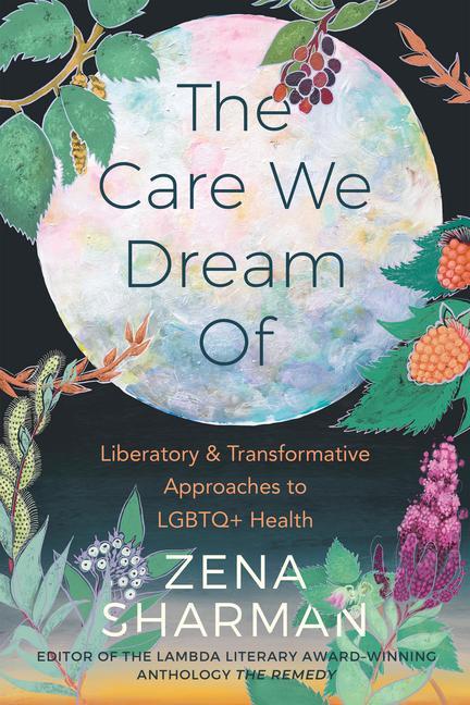 Vorderes Coverbild The Care We Dream of
