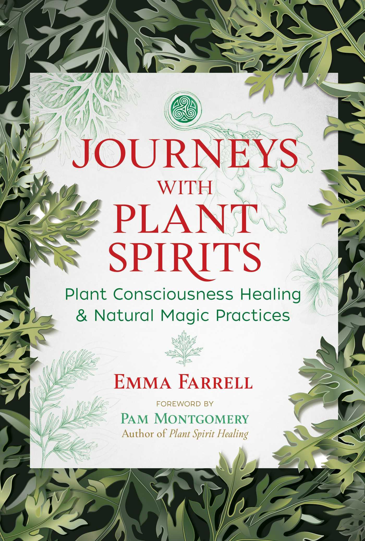 Vorderes Coverbild Journeys with Plant Spirits