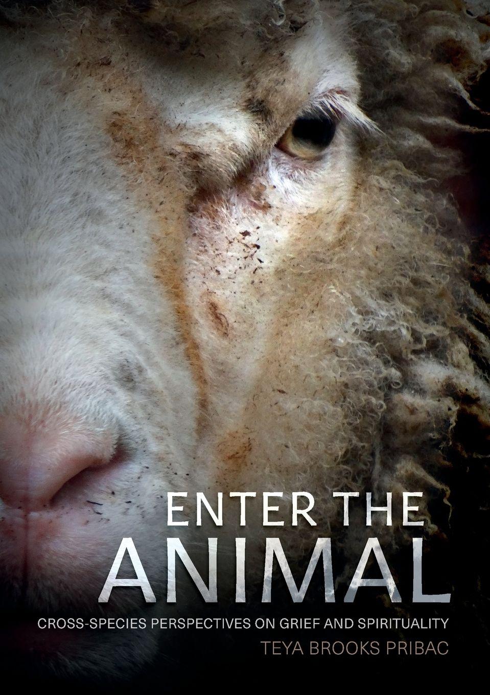Vorderes Coverbild Enter the Animal
