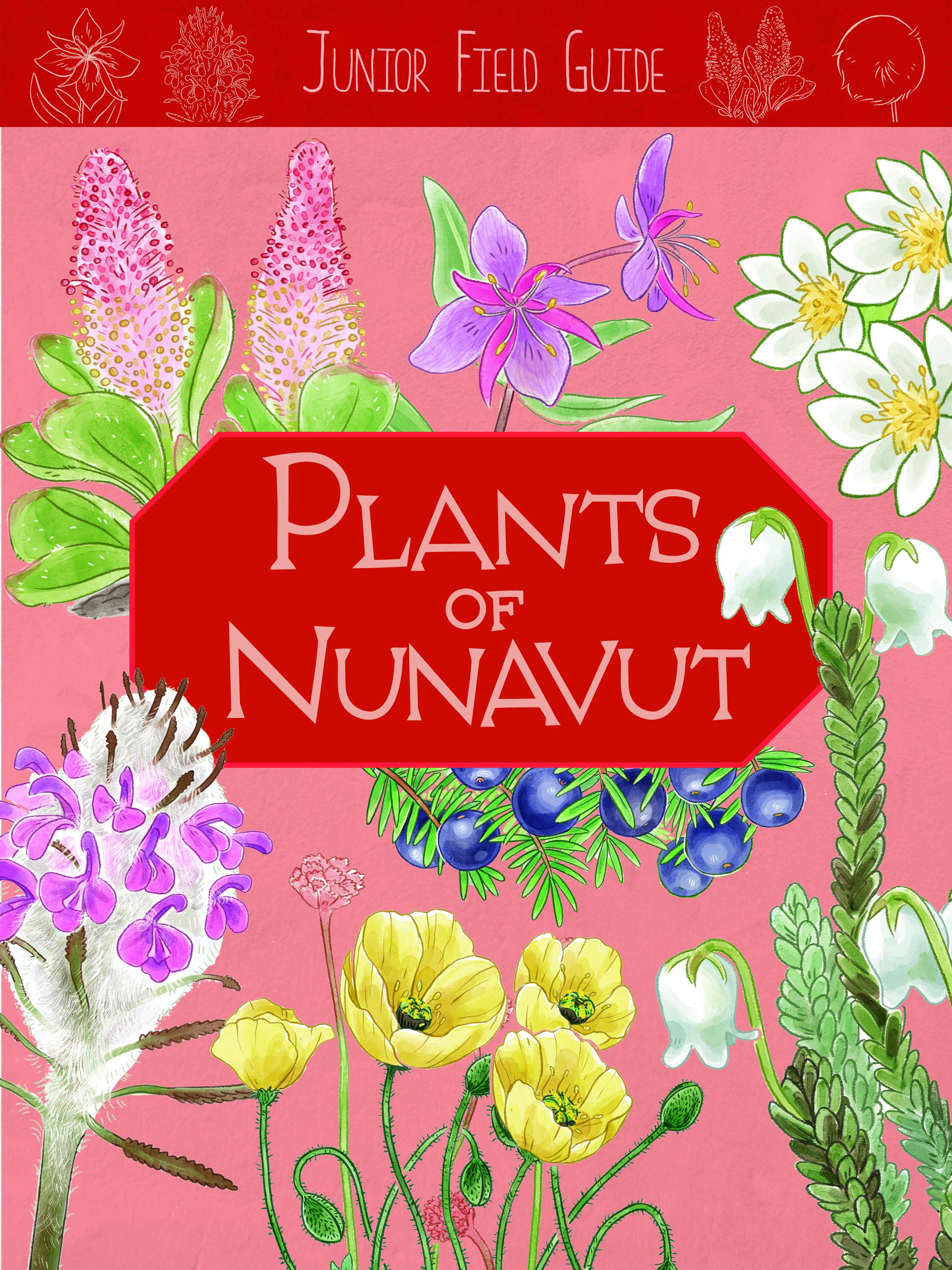 Vorderes Coverbild Junior Field Guide: Plants of Nunavut