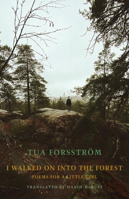 Vorderes Coverbild I walked on into the forest