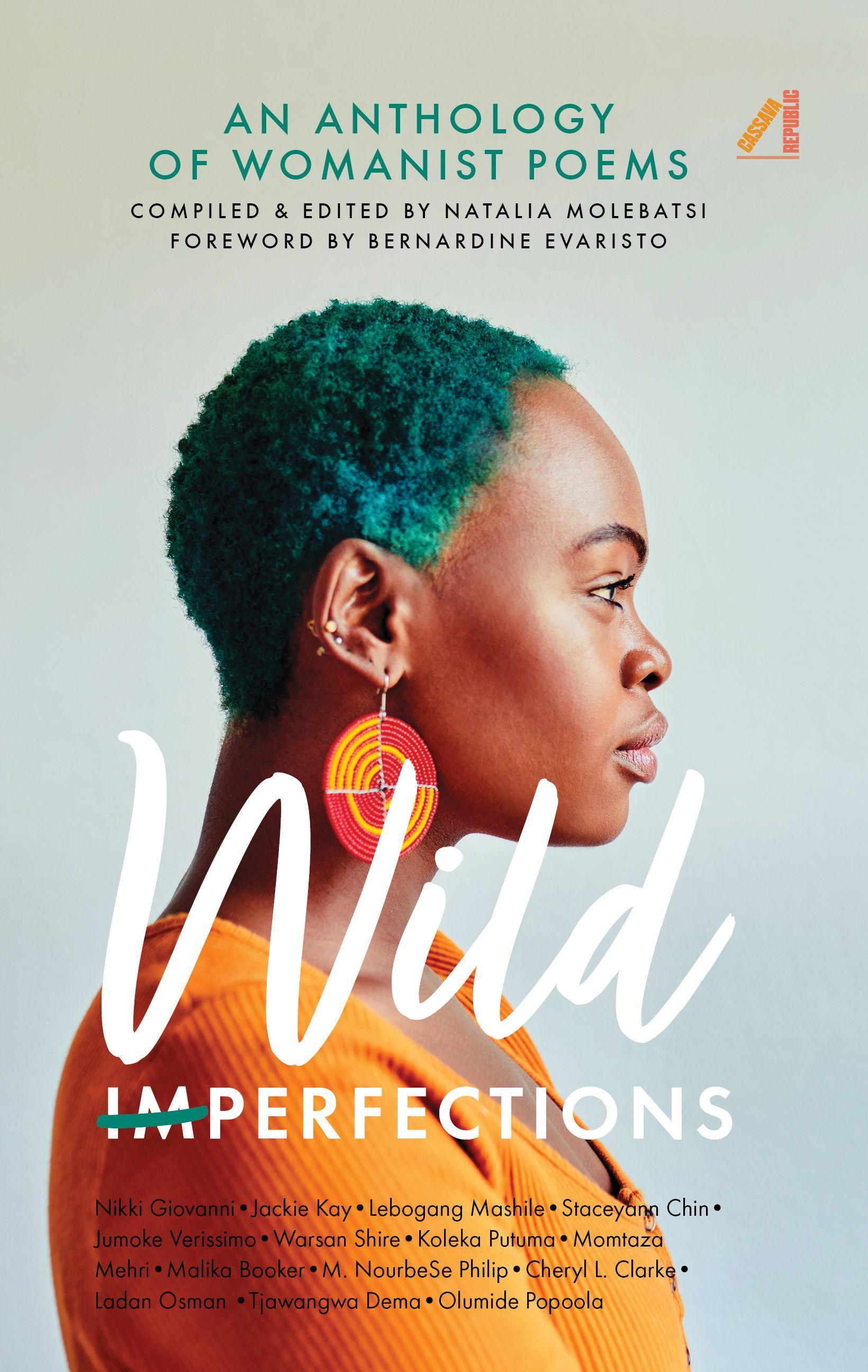 Vorderes Coverbild Wild Imperfections