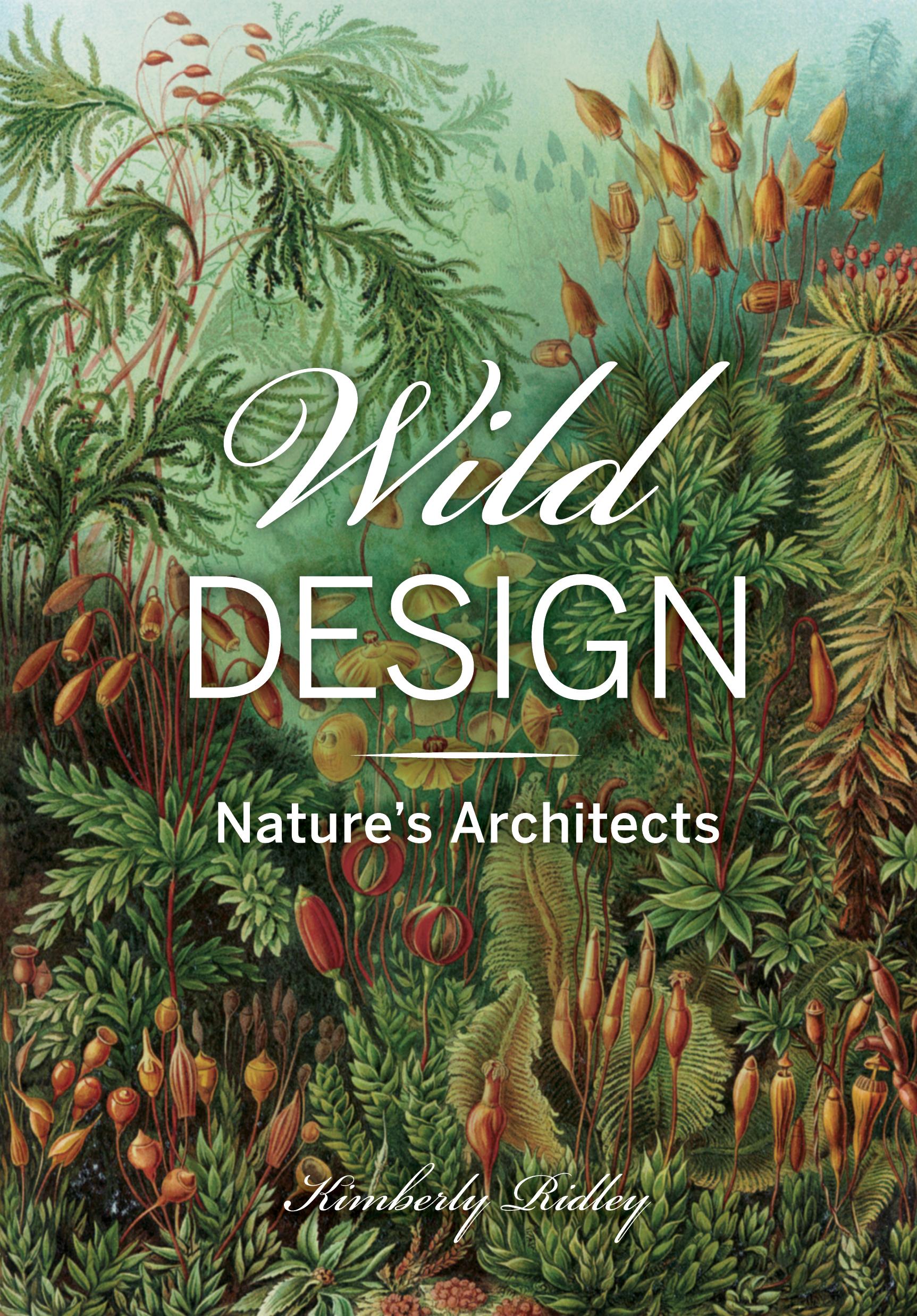 Vorderes Coverbild Wild Design