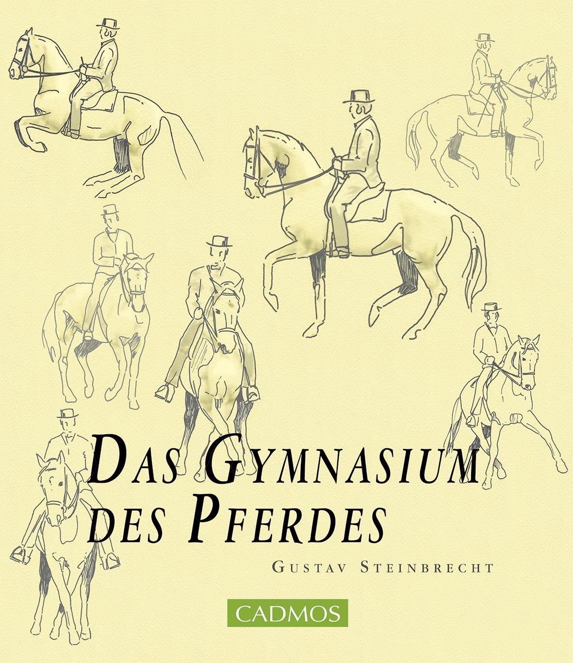 Vorderes Coverbild Das Gymnasium des Pferdes