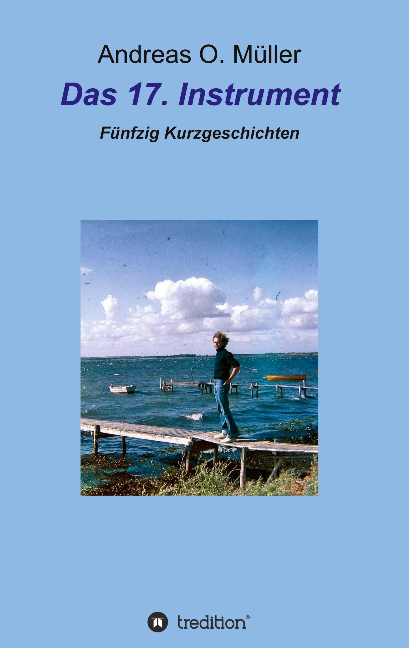 Vorderes Coverbild Das 17. Instrument