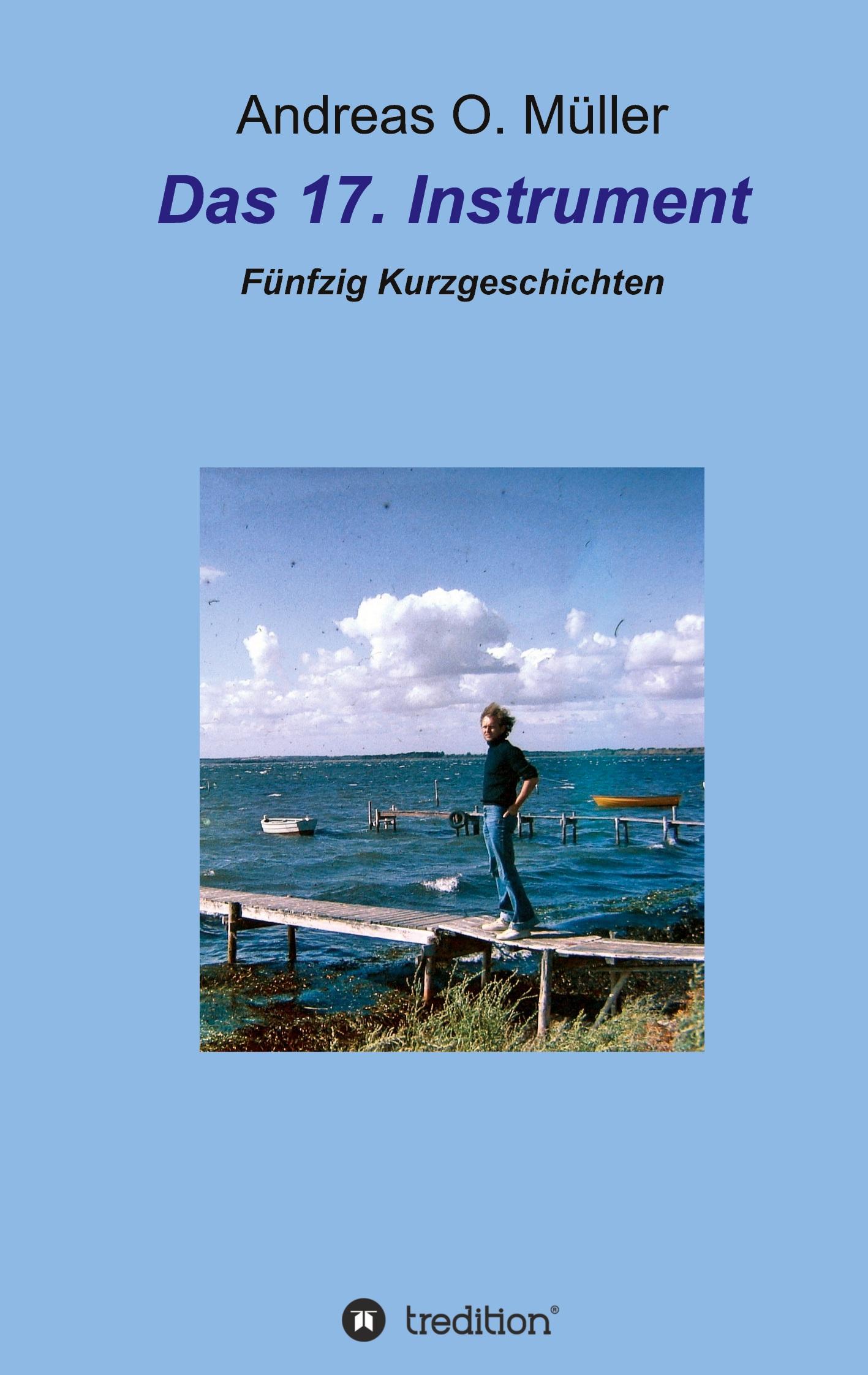Vorderes Coverbild Das 17. Instrument