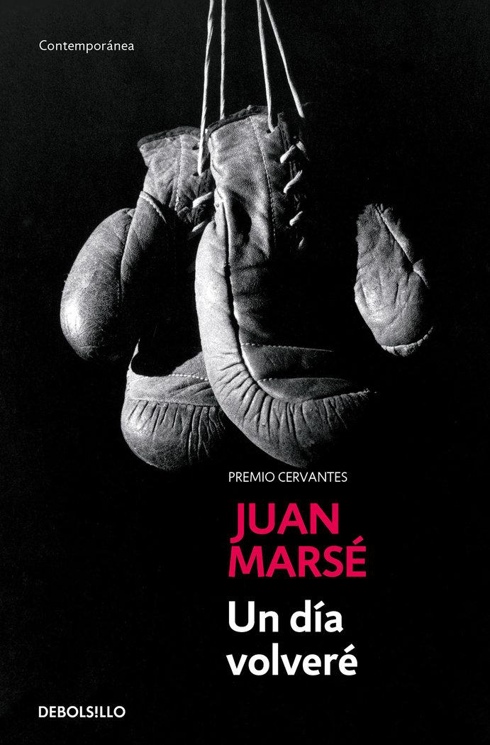 Vorderes Coverbild Un día volveré