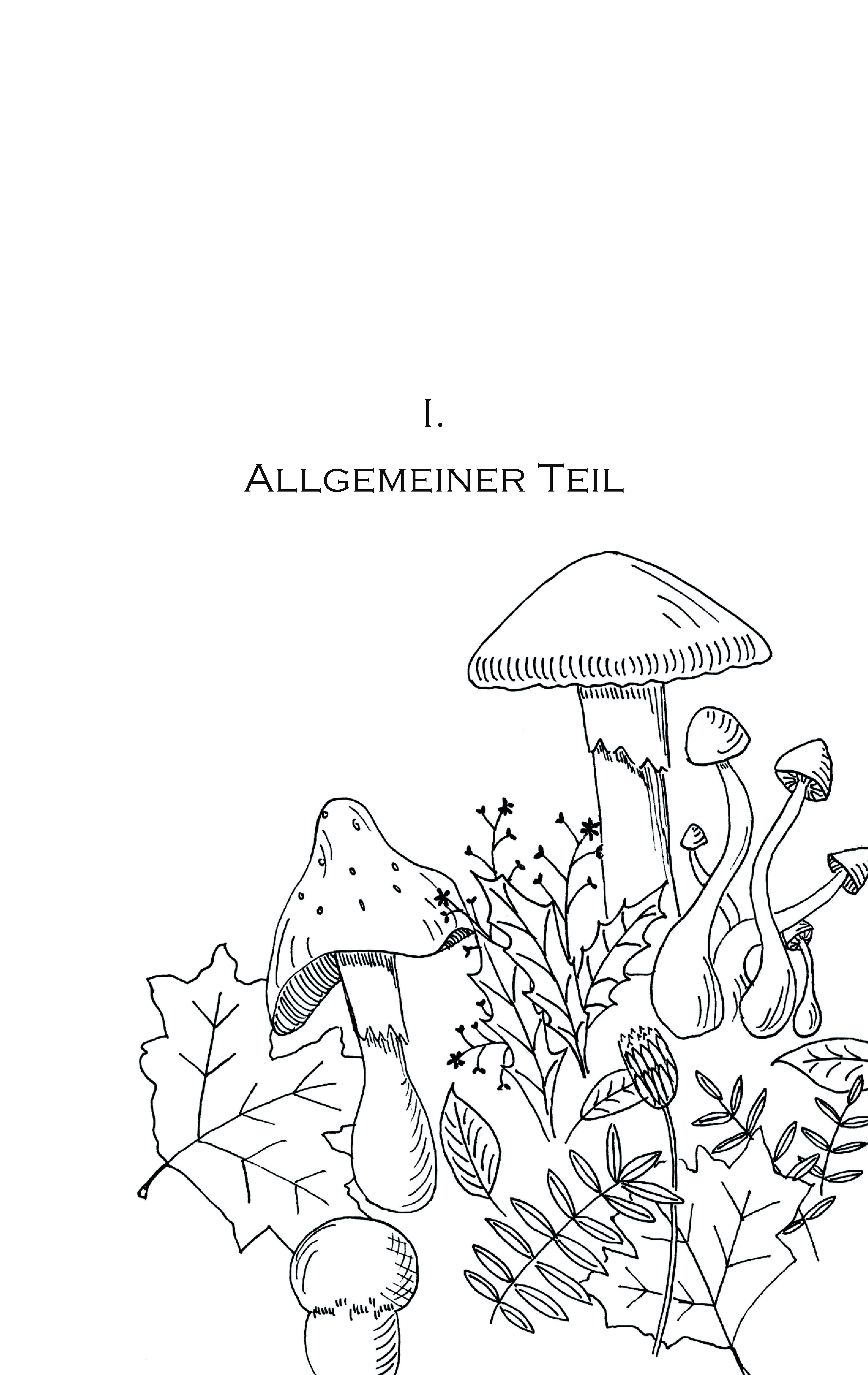 Beispielinhalt (Bild) Pilzkochbuch von 1917