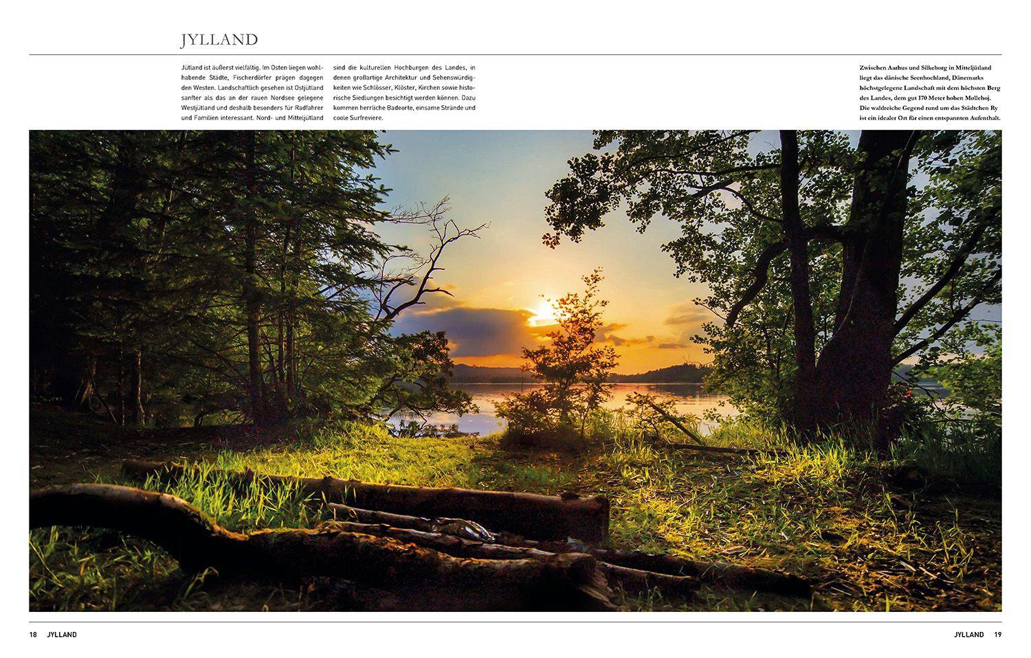 Beispielinhalt (Bild) Dänemark. Das Buch