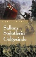 Vorderes Coverbild Salkim Sögütlerin Gölgesinde