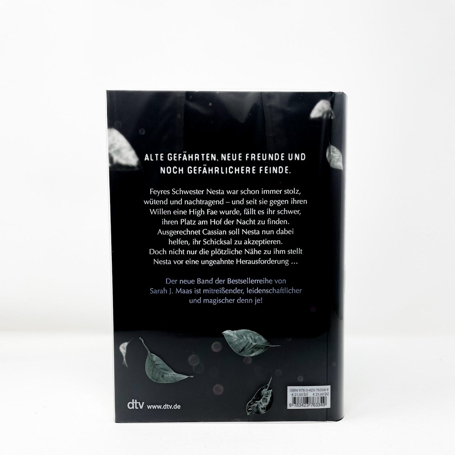 Beispielinhalt (Bild) Das Reich der sieben Höfe - Silbernes Feuer