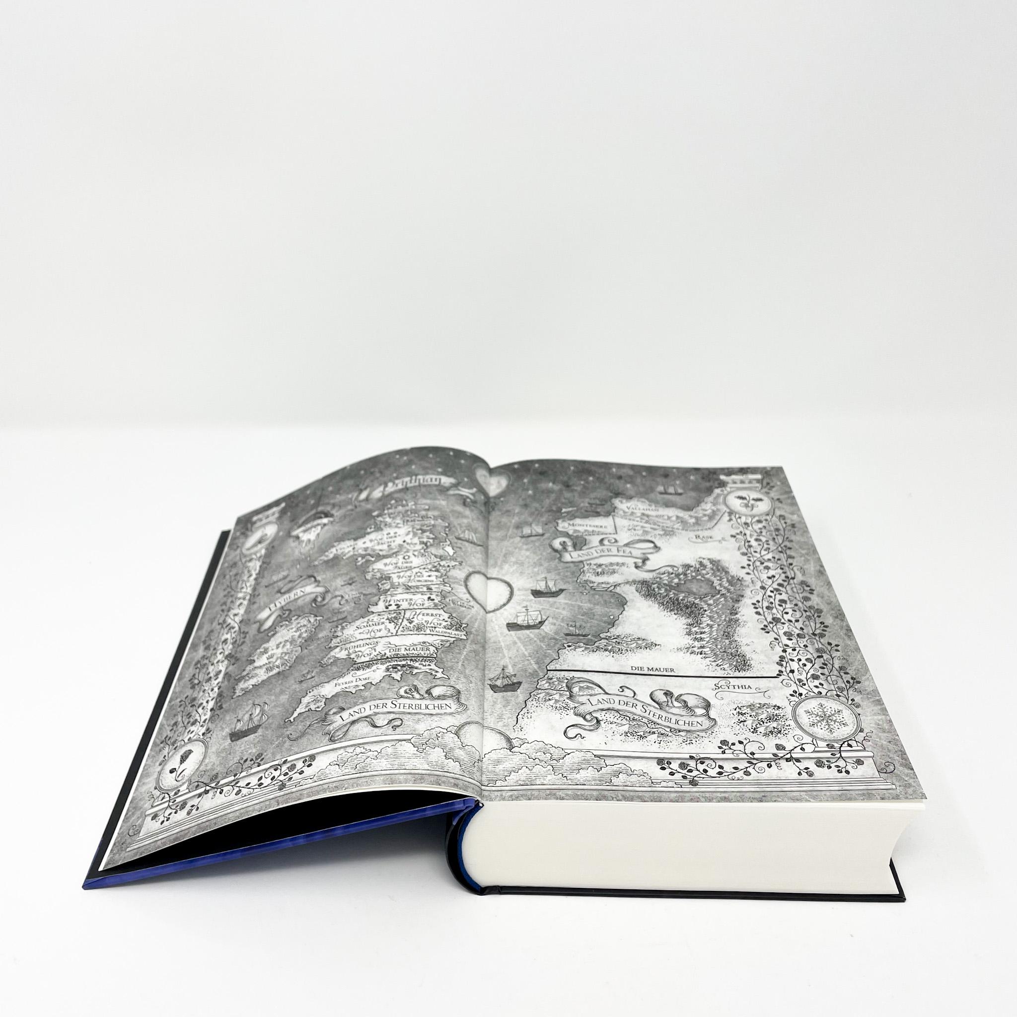 Beispielinhalt (Bild) Das Reich der sieben Höfe - Silbernes Feuer