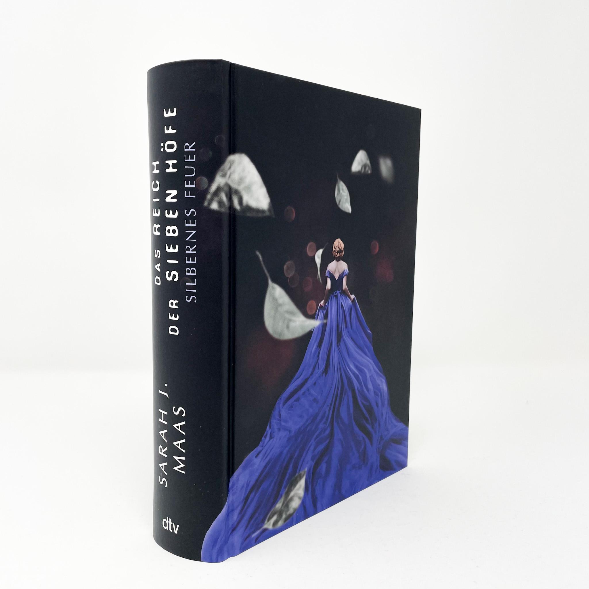 Beispielinhalt (Bild) Das Reich der sieben Höfe - Silbernes Feuer