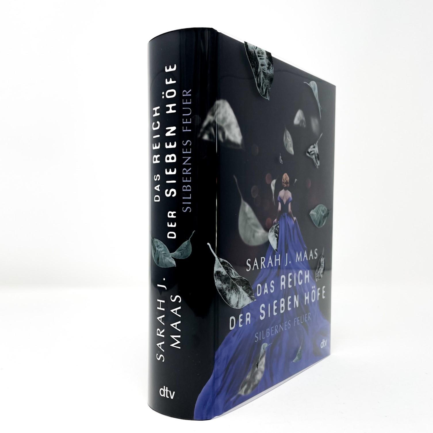 Beispielinhalt (Bild) Das Reich der sieben Höfe - Silbernes Feuer
