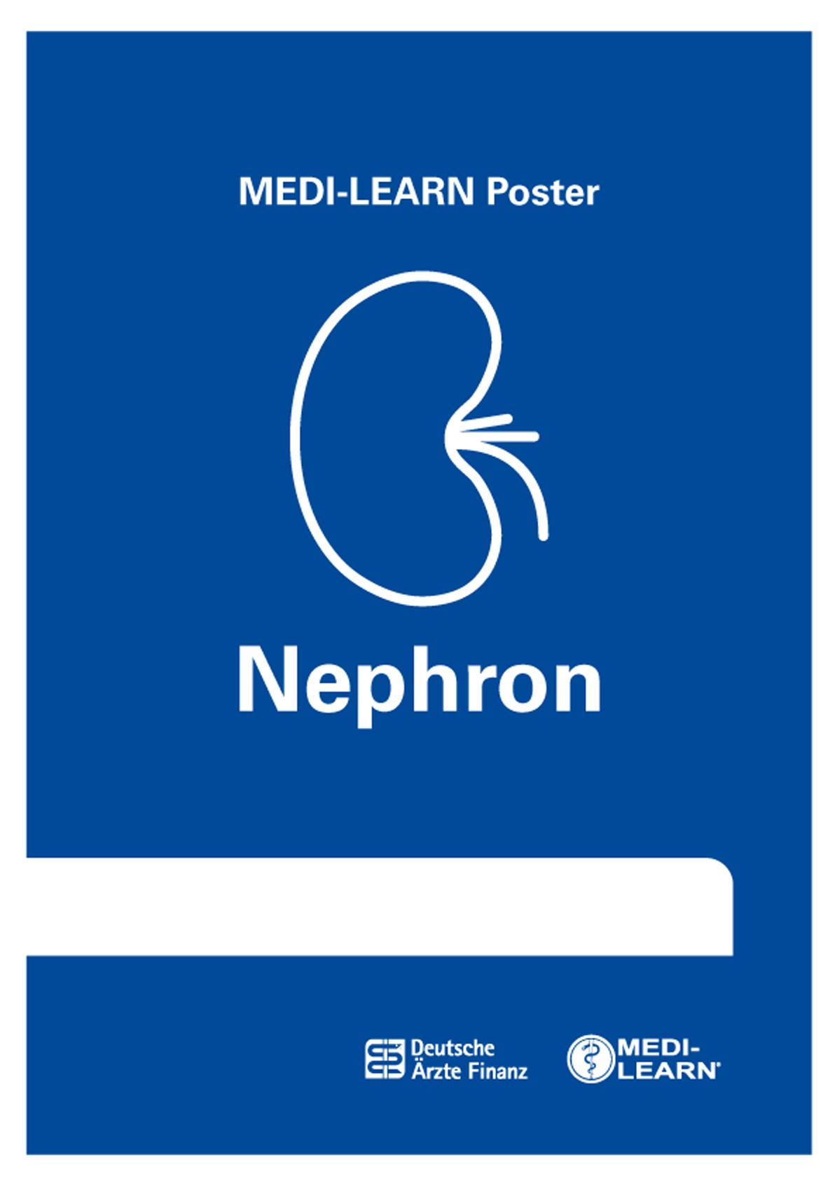 Vorderes Coverbild Nephron-Poster