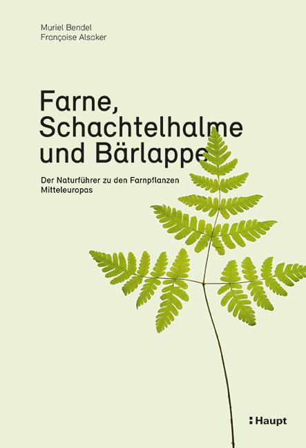 Vorderes Coverbild Farne, Schachtelhalme und Bärlappe