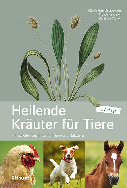 Vorderes Coverbild Heilende Kräuter für Tiere